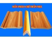 MẪU PHÀO CHỈ TRẦN NHÀ NĂM ĐINH DẬU