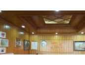 TẤM NHỰA ỐP TƯỜNG CHO KHÔNG GIAN NỘI THẤT HIỆN ĐẠI