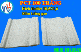 MẪU PHÀO CỔ TRẦN 100 TRẮNG