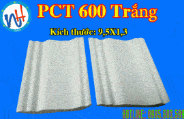 MẪU PHÀO CỔ TRẦN PCT 600 TRẮNG