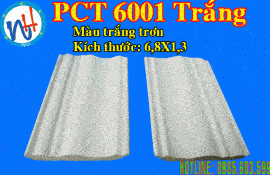 MẪU PHÀO CỔ TRẦN PCT 6001 TRẮNG TRƠN