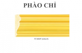 PHÀO CHỈ TẠI HÀ NỘI